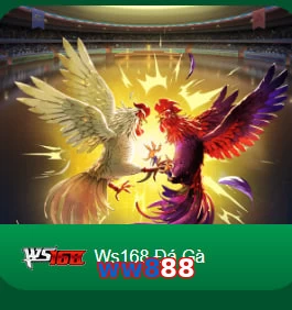 ww888